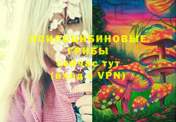 прущие грибы Лиски
