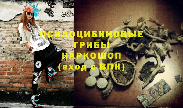 прущие грибы Лиски