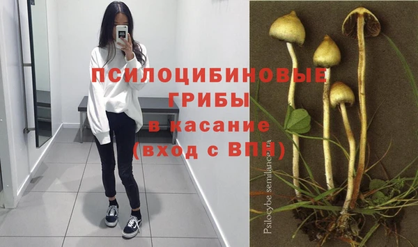 прущие грибы Лиски